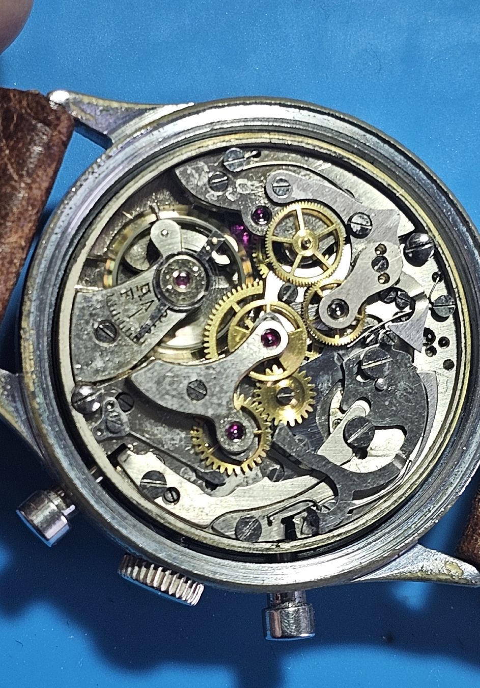 Orologi: Gloria Watch Co. RARE – Usato da Genève venduto da Fresko01 7