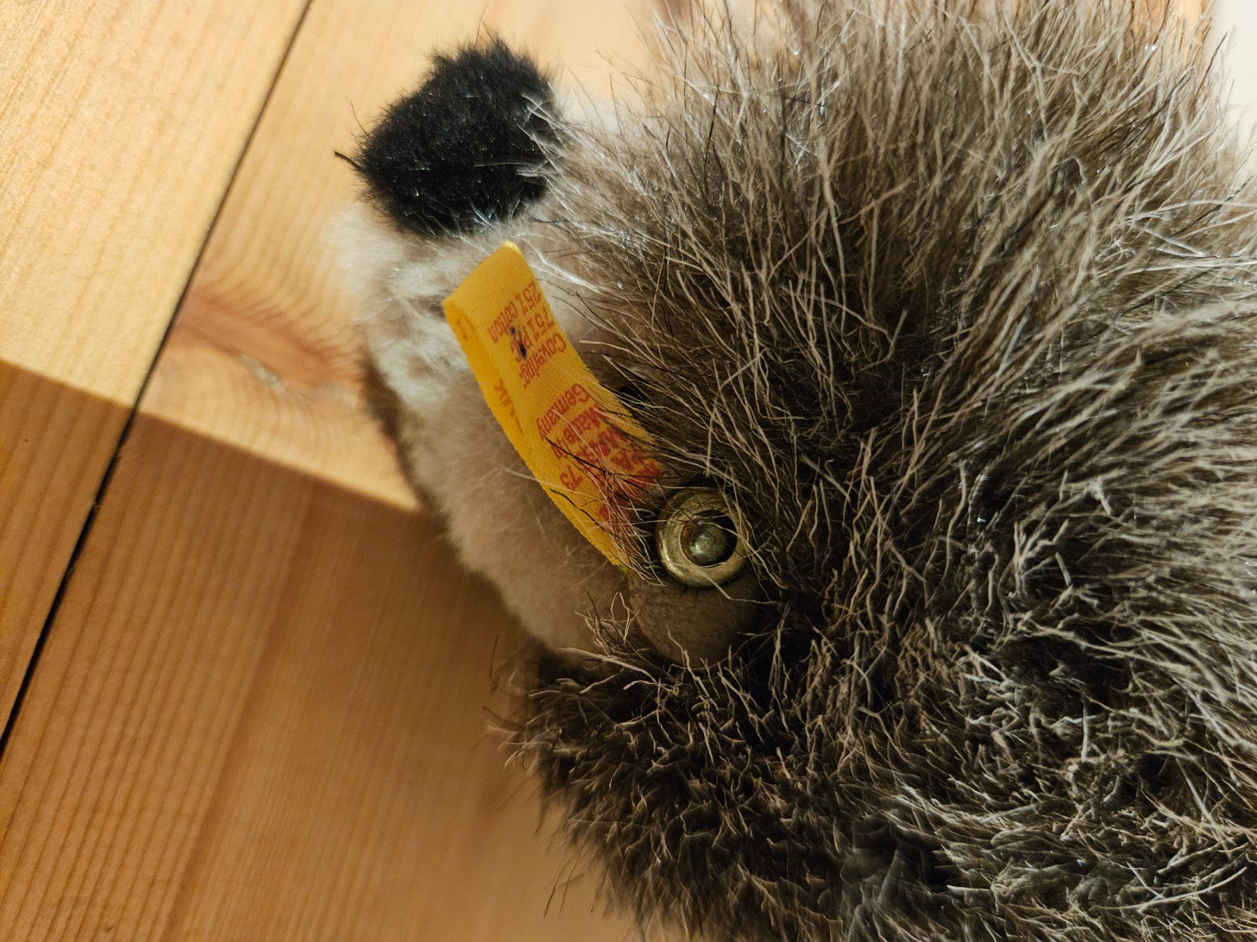 Steiff Giocattoli: NEU Steiff Igel Plüschtier – Usato da Rifferswil venduto da fle_5nqr 1