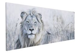 Leinwand mit Löwe
