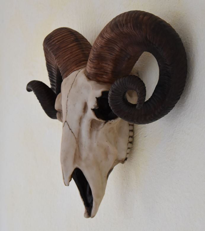 Tutte le decorazioni: Widderkopf Deko – Nuovo e nell'imballaggio originale da Menziken venduto da _Goldis_ 2