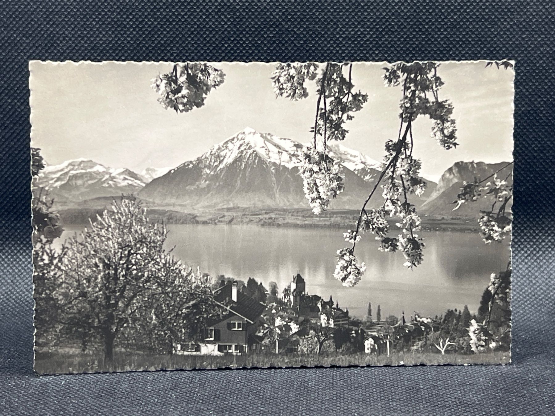Cartoline postali: Oberhofen am Thunersee, Niesen – Usato da Widnau venduto da Brusi9