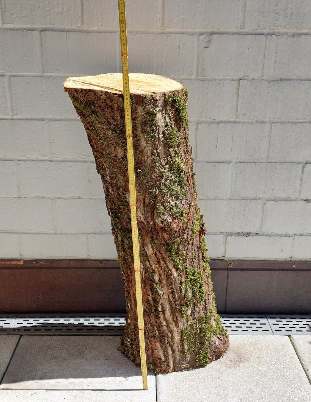 Holzartikel: Holzstamm / Chemine, Deko, Hackstock, Rundholz, Scheitstock – Neu (gemäss Beschreibung) aus Bergdietikon von lop01 9