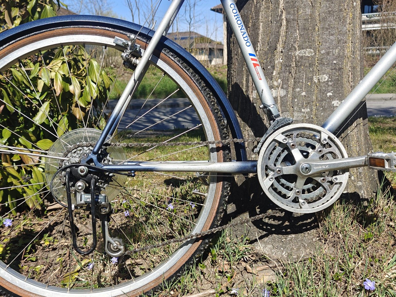 Biciclette: Velo Coronado vintage MTB – Usato da Sempach venduto da sam_z6d2 9