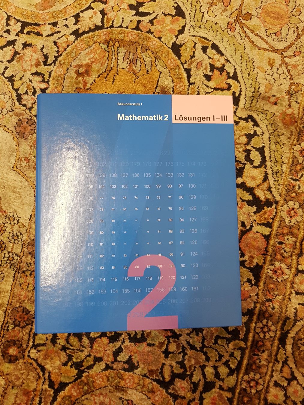 Libri: Mathematik Lösungsordner 2 – Usato da Zürich venduto da Argili