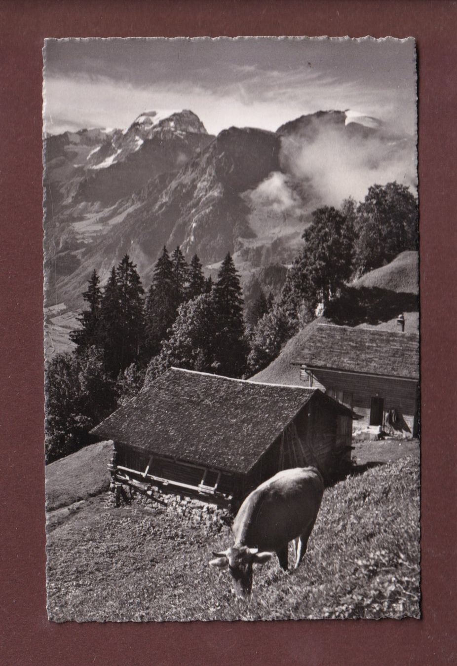 Cartoline postali: BRAUNWALD - Tödi - 1955 – Usato da Pully venduto da nicecards