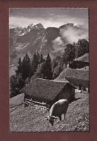 BRAUNWALD - Tödi - 1955