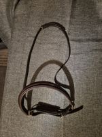 Nasenband / Reithalfter Pferd Full Braun
