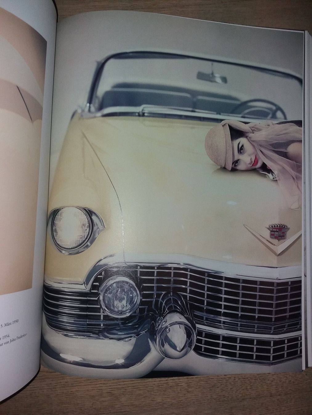 Libri: FOTOKLASSIKER Blumenfeld gesamtwerk – Usato da Welschenrohr venduto da Regool 3