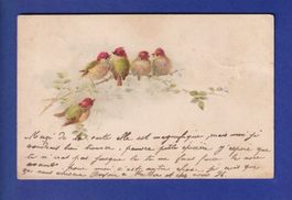 OISEAU - Rouges-Tête
