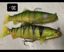 Leurre souple / gummifische fox rage