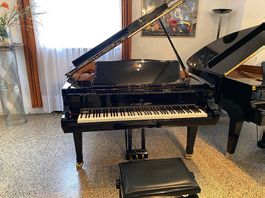 Shigeru Kawai SK II (180 cm) Neuwertige Occasion