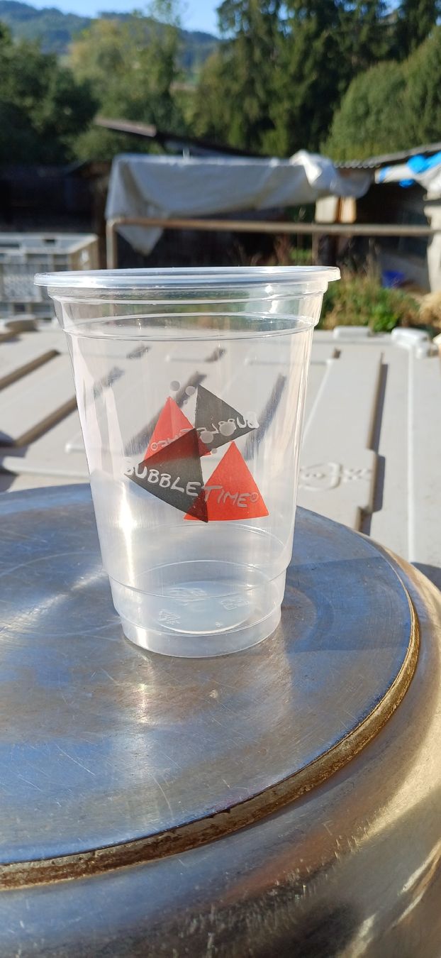 Behälter & Ähnliches: Plastikbecher – Neu (gemäss Beschreibung) aus Wängi von Koebi62
