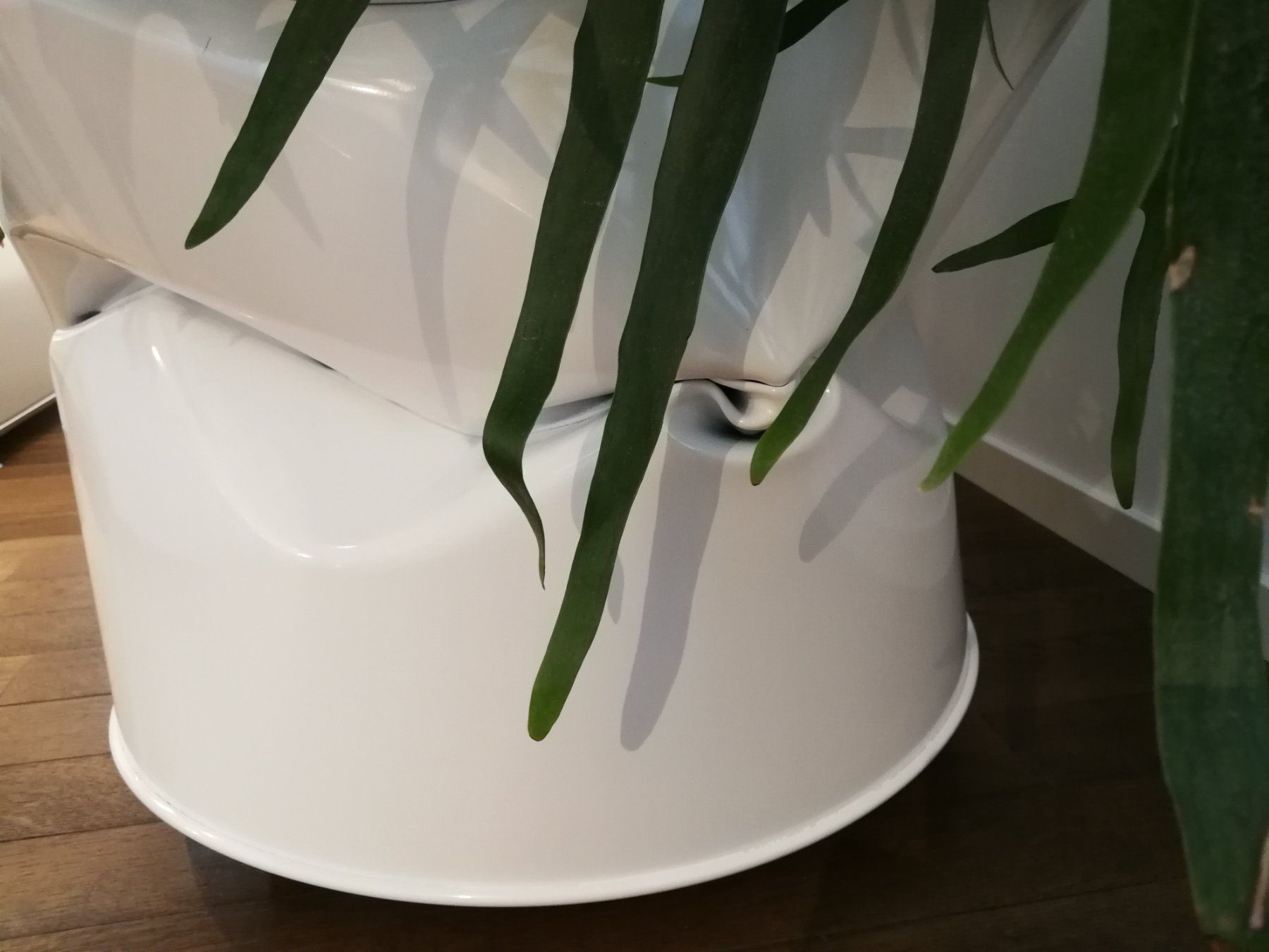 Pflanzen & Samen: Blechtrommel HENDRY 60 – Neu (gemäss Beschreibung) aus Boll von butzli64 2