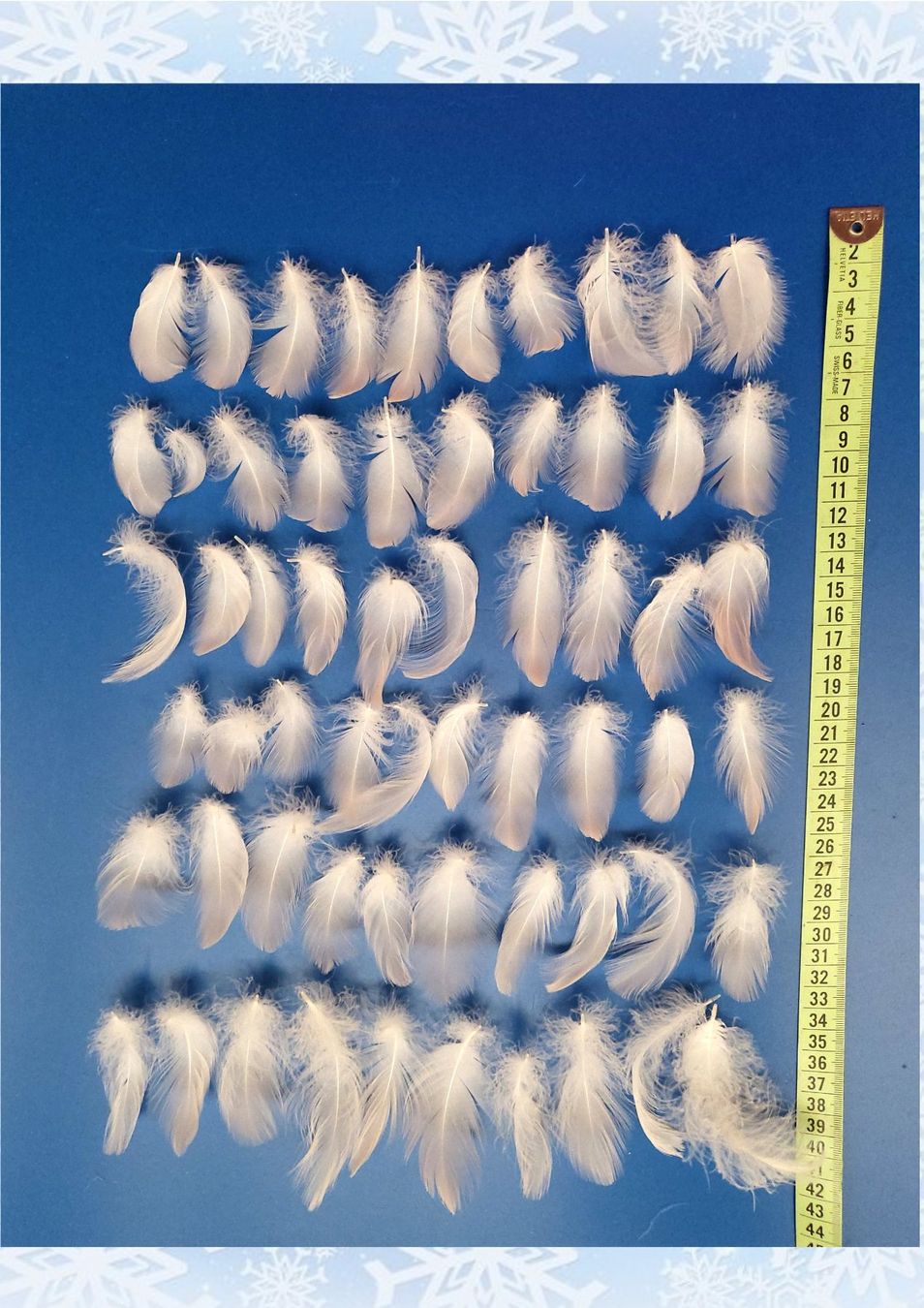 Il mondo degli animali: Flamingo-Federn flauschig;  60 Stk. 4...9 cm lang – Usato da Linden venduto da Mb2bb 2