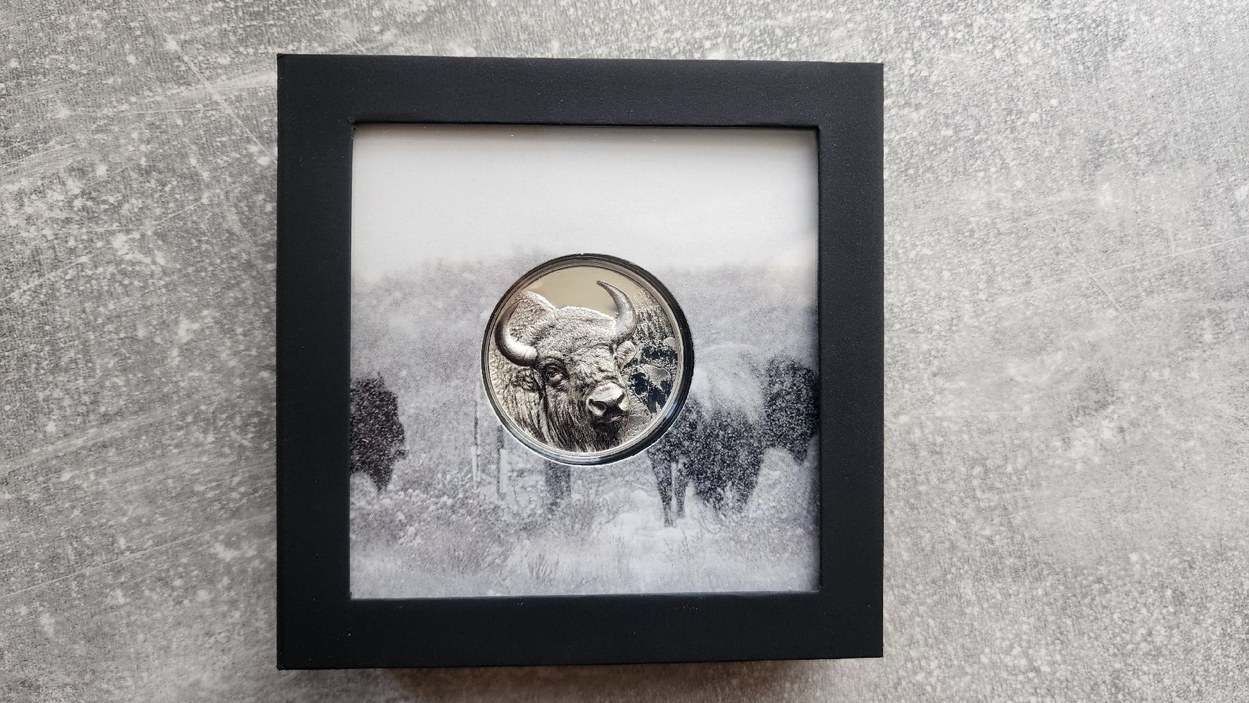 Tutti le monete: Mongolia Buffalo 2025 Proof 1 oz Silber Togrog – Nuovo e nell'imballaggio originale da Petit-Lancy venduto da SilverCoinCoin 2