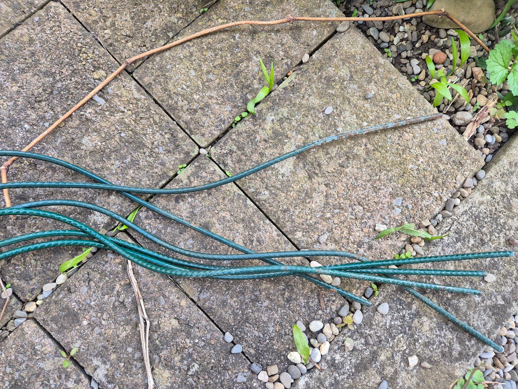 Sonstige Gartendekorationen: Rankhilfe, Tomatenspirale, Pflanzenstützen, Gartenzubehör – Gebraucht aus Trimbach von meruula 1