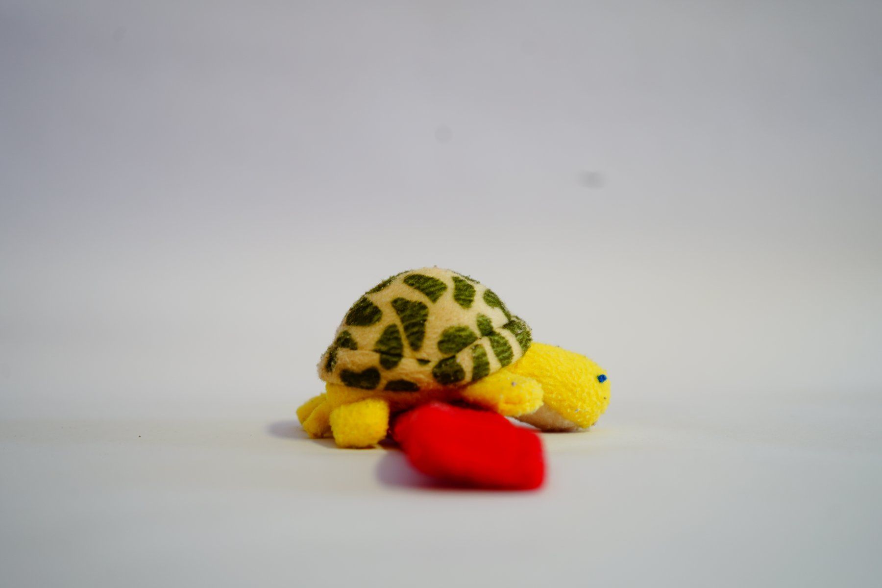Giocattoli: Baby Rassel Schildkröte – Usato da Ebikon venduto da lin_jr8x 1