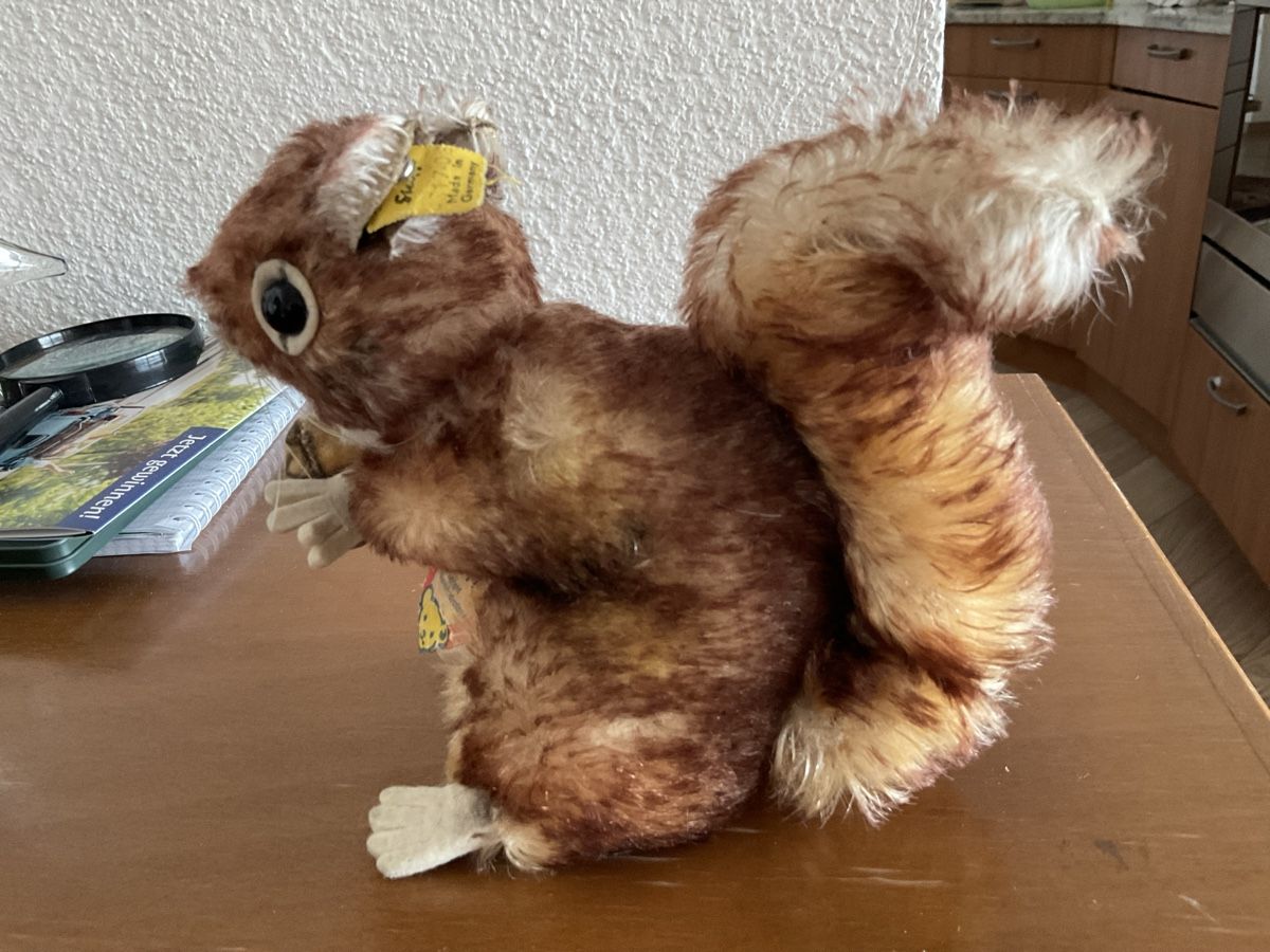 Steiff Giocattoli: Steiffeichörnchen Perry 1960s – Usato da Herbriggen venduto da Sehrazade