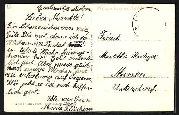 Cartoline postali: Luzern, Kantonale Krankenanstalt, Fliege – Usato da Berlin venduto da bartko-reher 1