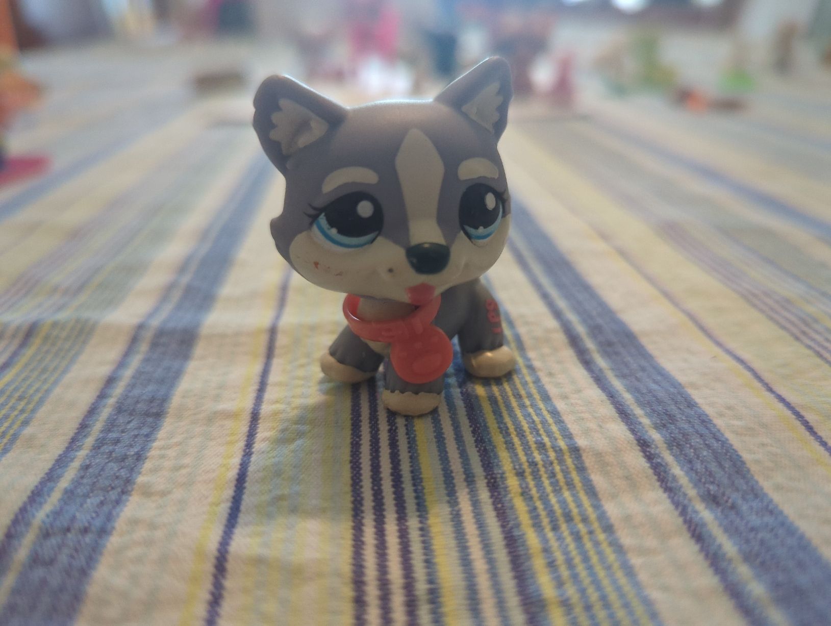 Littlest Pet Shop Giocattoli: littlest pet shop Husky – Usato da Kloten venduto da sop_zxc9 1