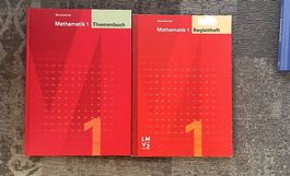 Mathematik Sek 1 / LMVZ 