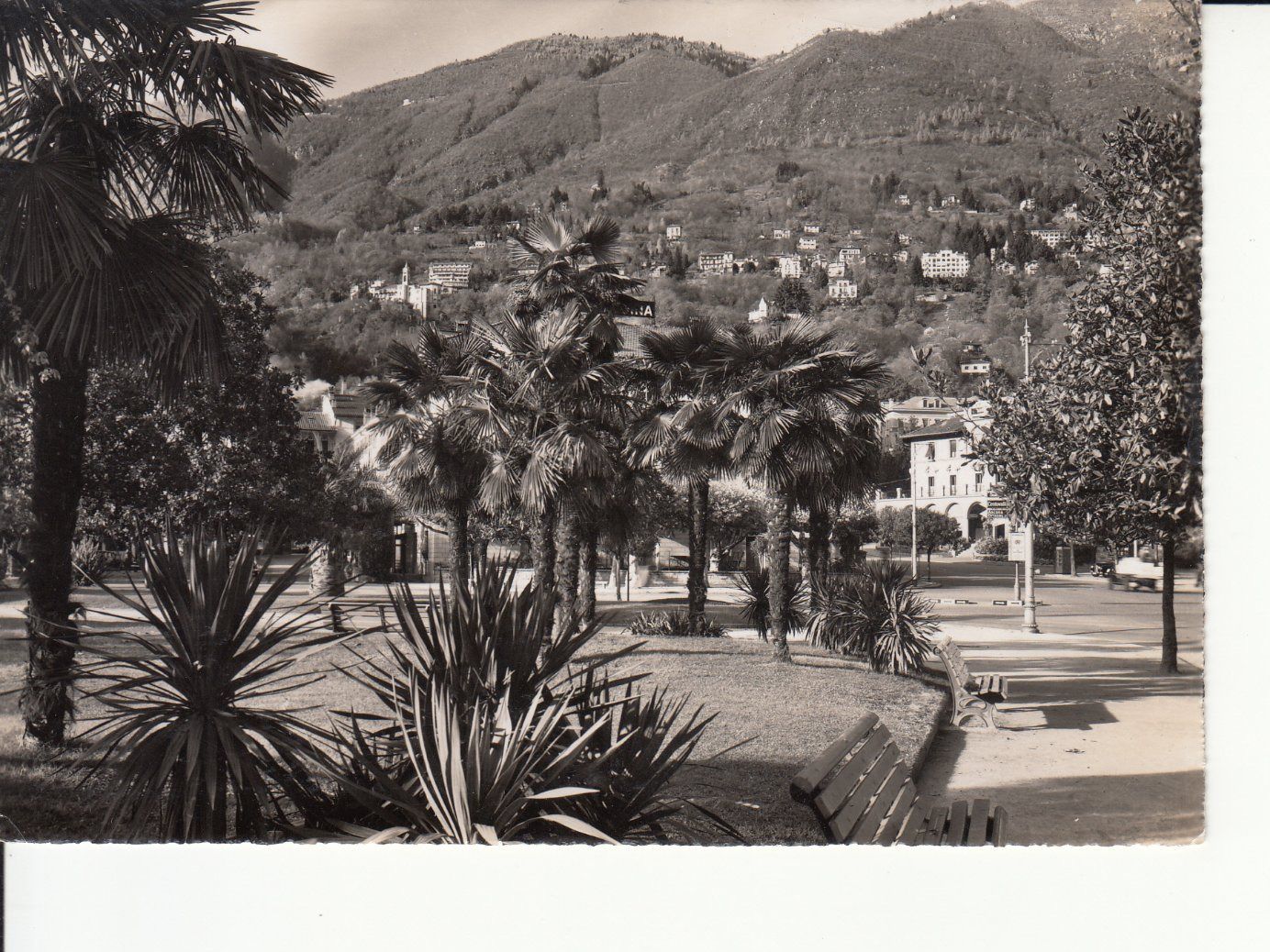 Cartoline postali: Orselina ca. 1960 – Usato da Bürglen TG venduto da StampGraf