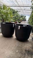 2x Blumentöpfe ECOPOTS OSLO 55 schwarz neuwertig