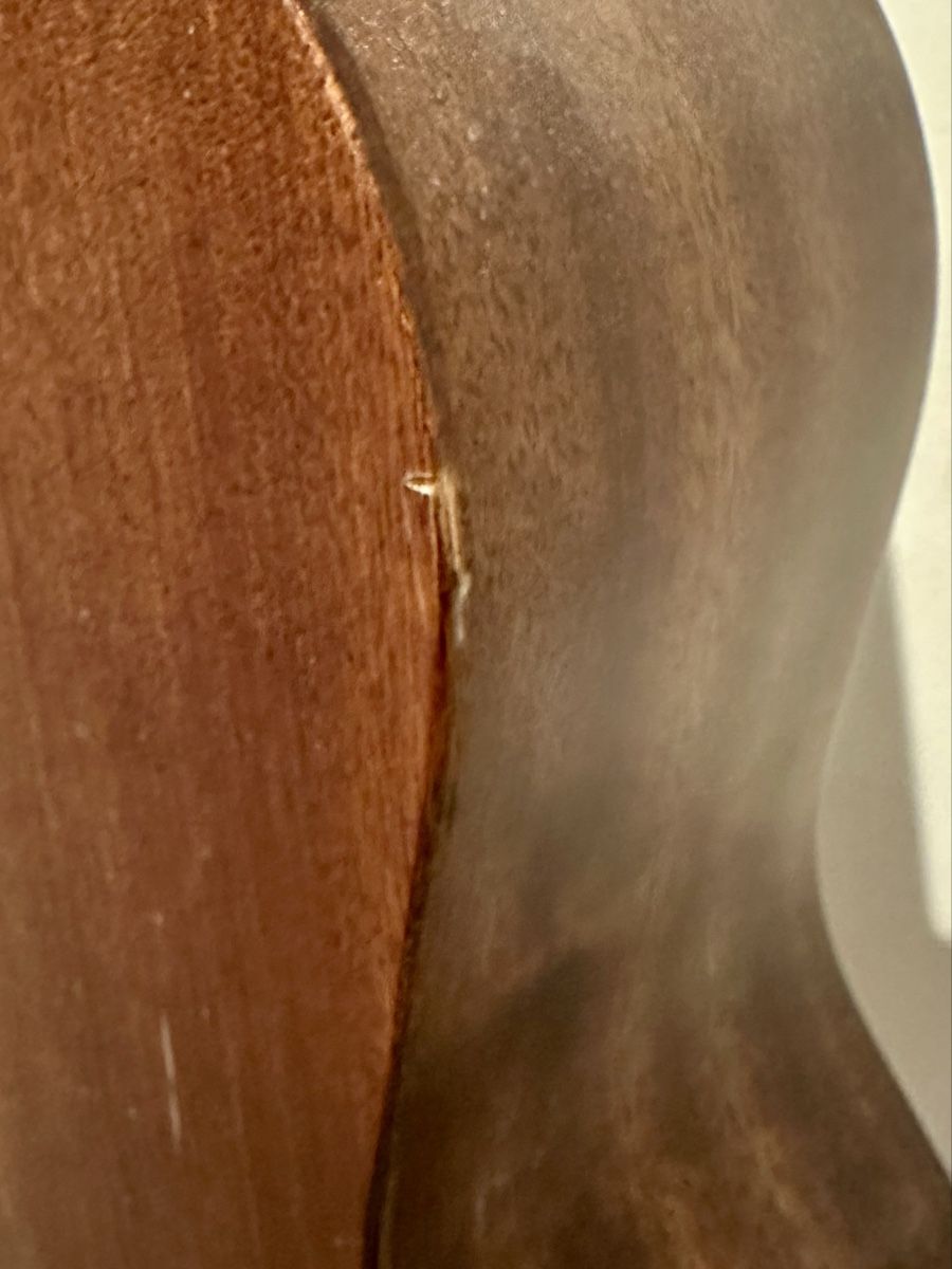 Cort Strumenti musicali: Akustik Gitarre Cort L450C-NS Luce – Usato da Bernex venduto da ver_268v 3