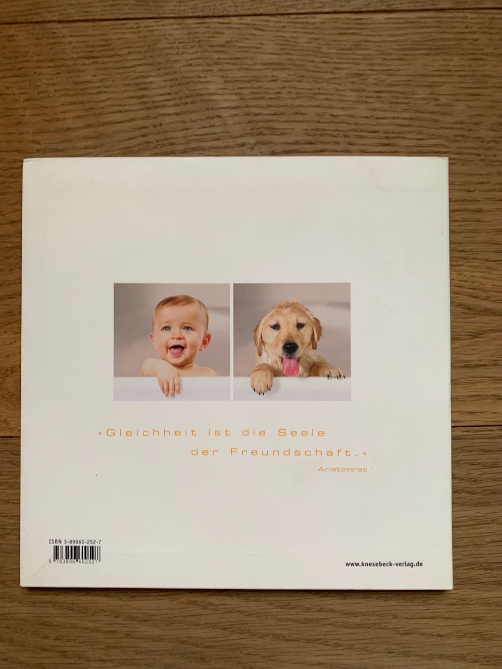 Libri: Fotobildband "Gute Freunde" Vicky Ceelen – Usato da Flaach venduto da Rosatipi 1