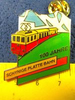 SCHYNIGE PLATTE BERG-BAHN 100JAHRE PIN GLASIERT