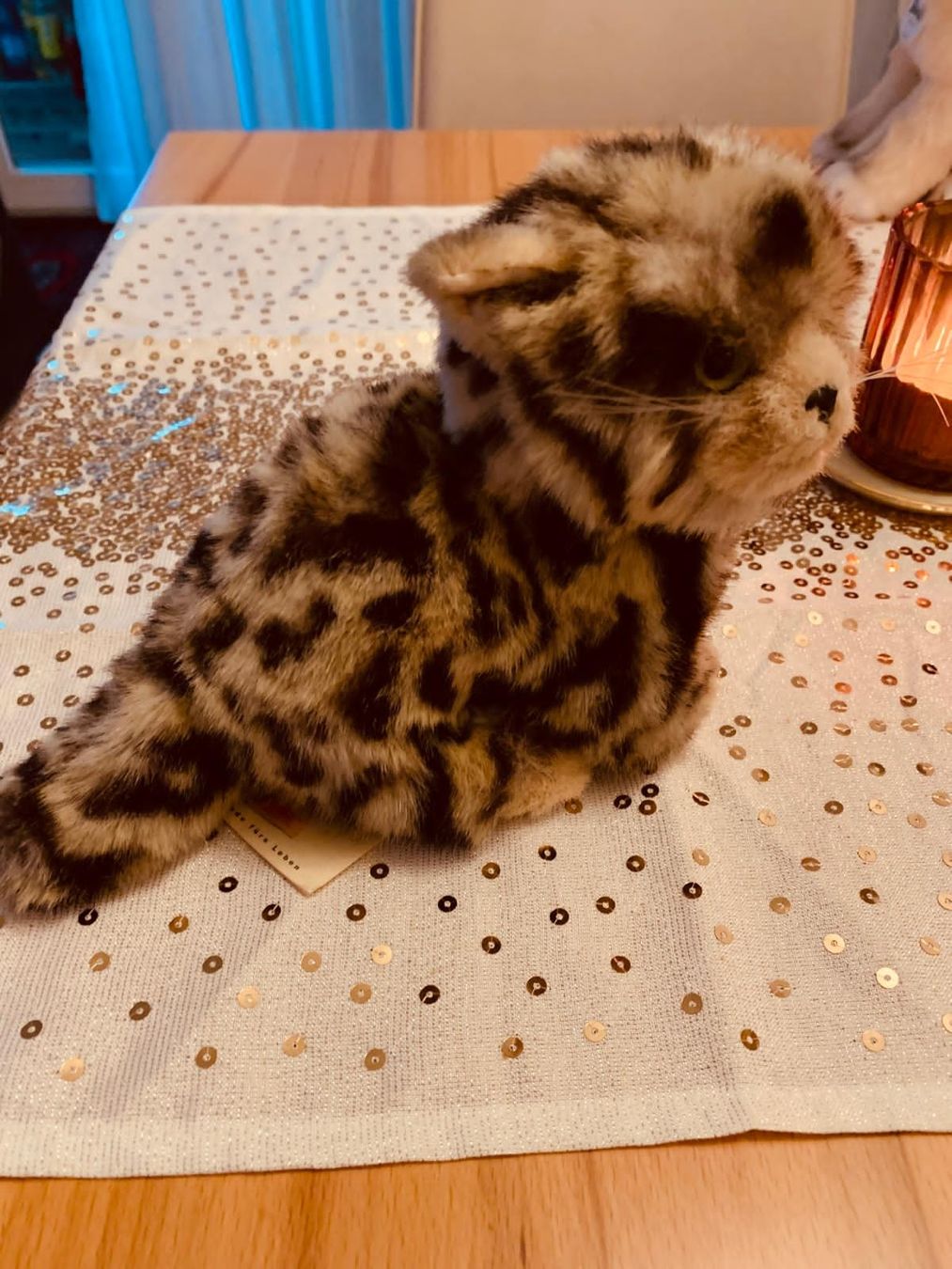 Steiff Giocattoli: STEIFF Katze "Sigi", 074813 – Nuovo (secondo la descrizione) da Bülach venduto da sadiZH 1