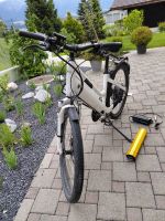 Stromer St1 33km/h defekt