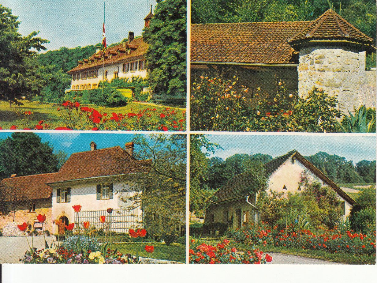 Cartoline postali: St. Petersinsel 1980 – Usato da Bürglen TG venduto da StampGraf