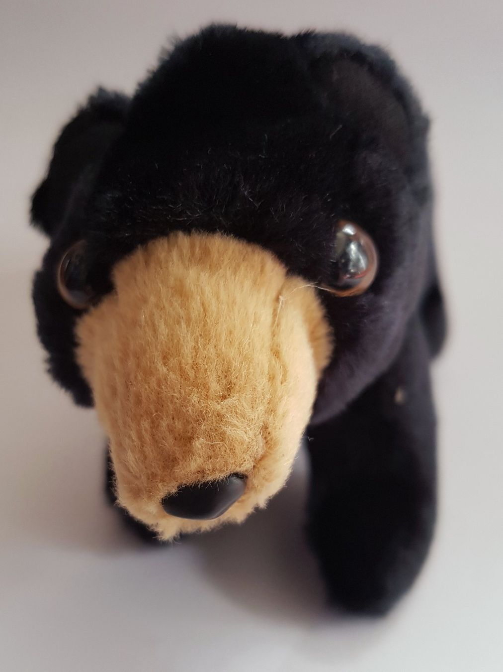 Bambole: FOLKMANIS: Fingerpuppe Bärchen  / NEU – Nuovo e nell'imballaggio originale da Dürrenäsch venduto da Didaedi 1