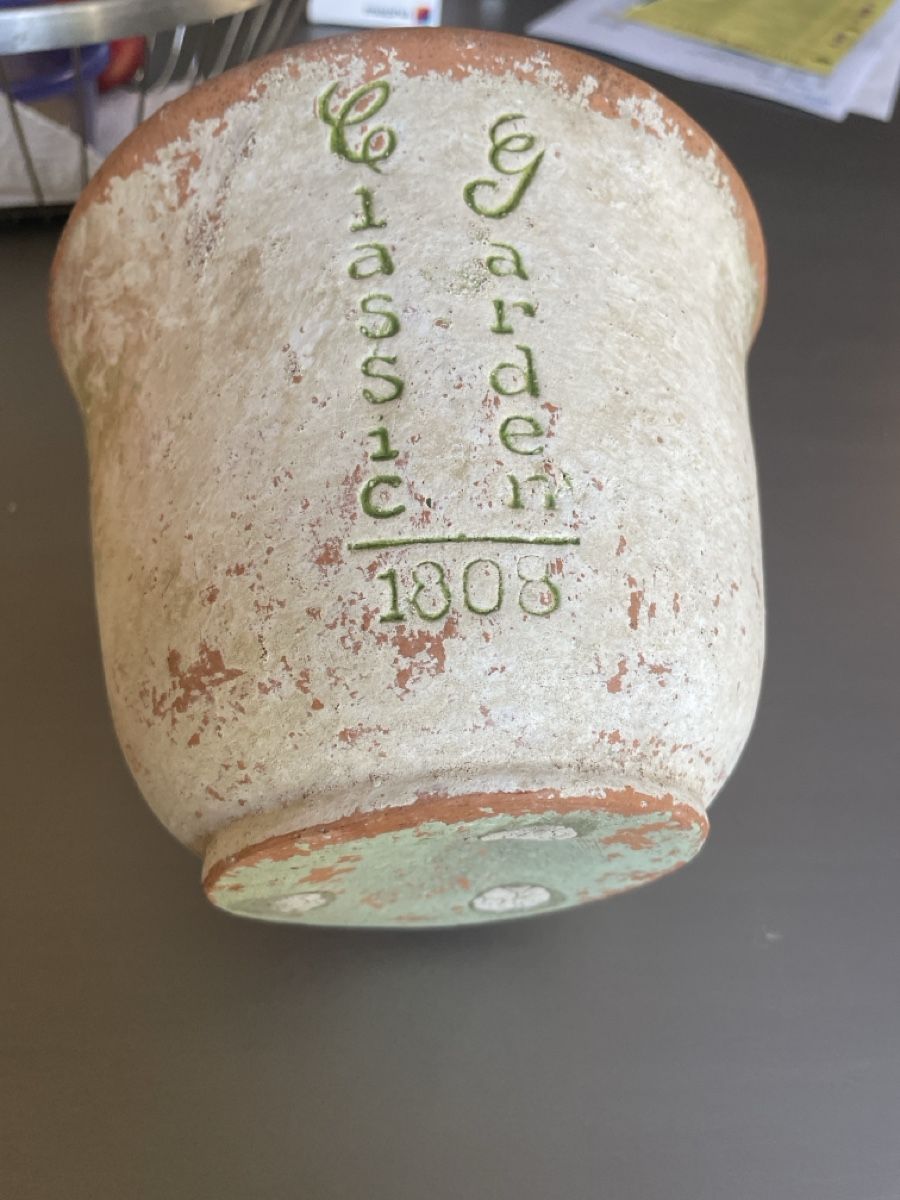 Pots de fleurs: Blumentopf – D'occasion à Winterthur par vert4 2