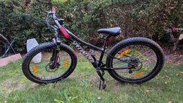 Specialized Mountain Bike