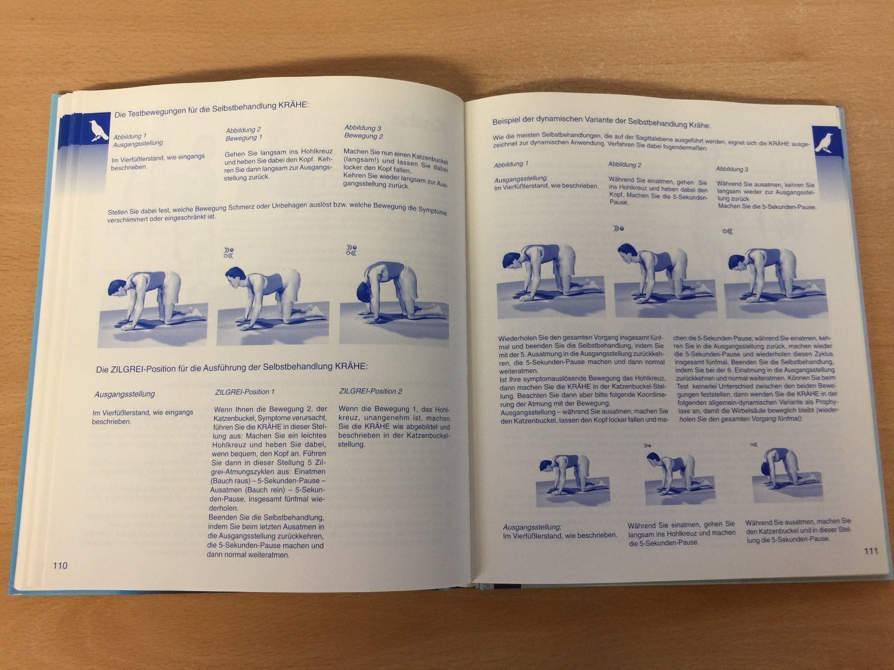 Libri: Neue Hoffnung ZILGREI – Usato da Glattfelden venduto da cybermaxx 8