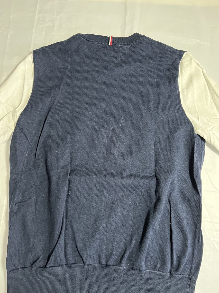 Tommy Hilfiger Maglioni & Felpe: Hilfiger Herrenpullover L – Usato da Thürnen venduto da Lilie37 2