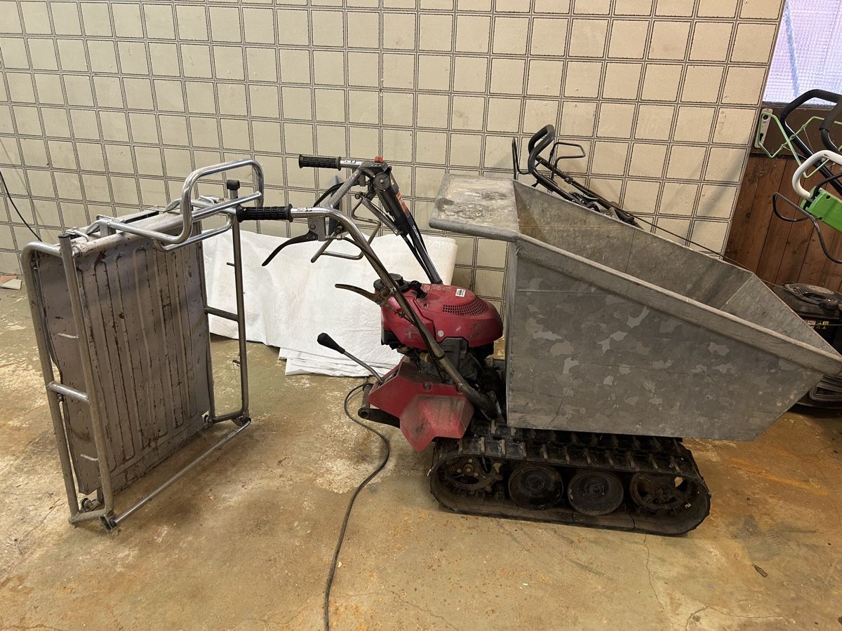Camions-bennes: Raupetransporter mit Benzinmotor  – D'occasion à Mumpf par Aussipeter