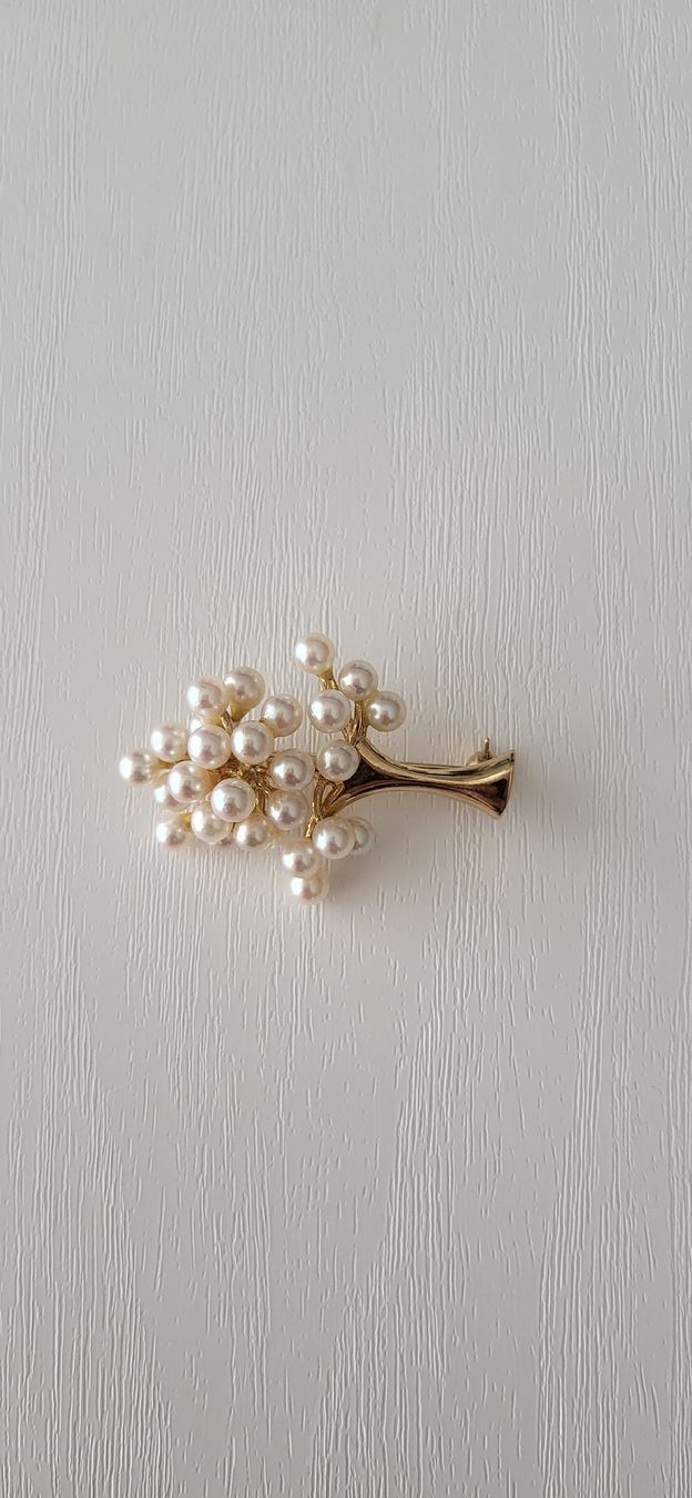 Anhänger: Fantastisch schöner Anhänger/ Perlenbrosche  – Neu (gemäss Beschreibung) aus Unterägeri von Altgoldschmuck 1