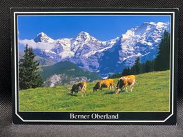 Berner Oberland: Eiger, Mönch und Jungfrau