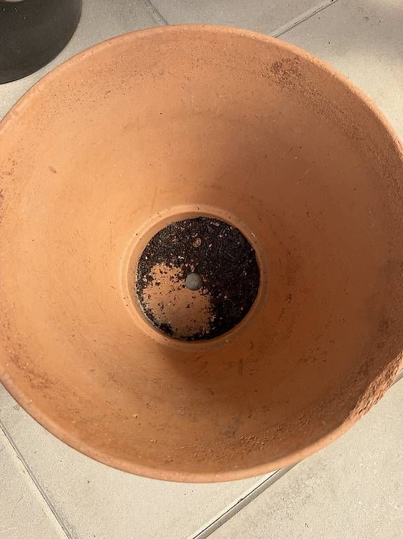 Pots de fleurs: Kleiner Blumentopf – D'occasion à Wilen b. Wil par Valerx 1