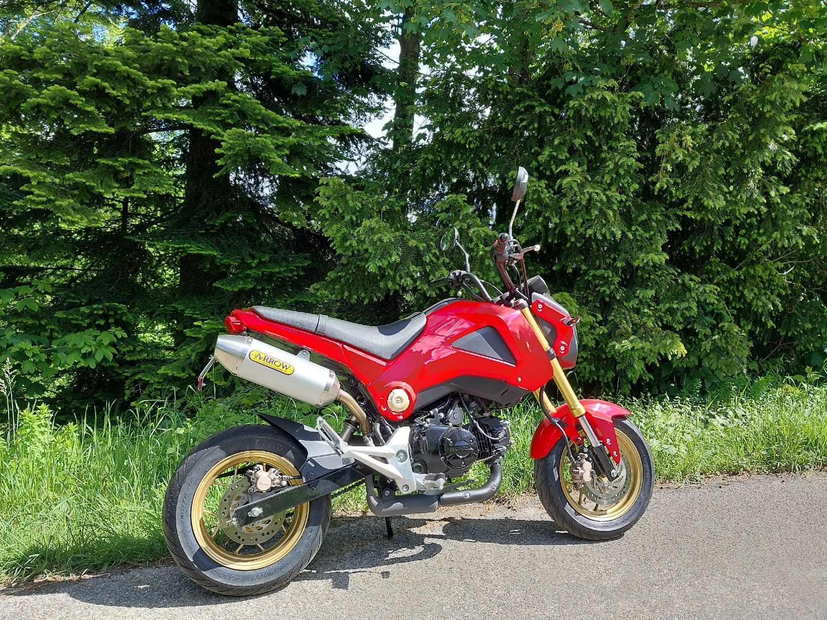 Honda Strasse: Honda MSX 125, frisch ab MFK – Gebraucht aus Saland von Lehmann600 3