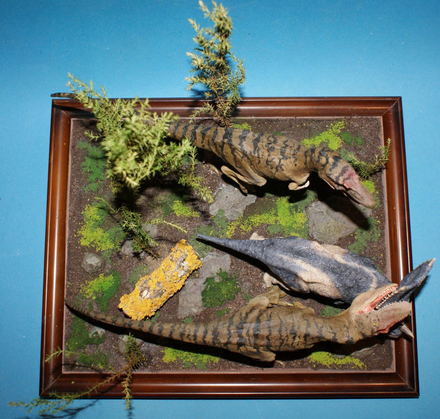 Skulpturen & Statuen: Chasmosaurus vs. Gorgosaurus 1:35 Galileo Hernandez – Gebraucht aus Selzach von Ataraxus 3