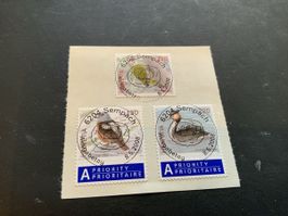 2008 EINHEIMISCHE VÖGEL ET VOLL EINWANDFREI