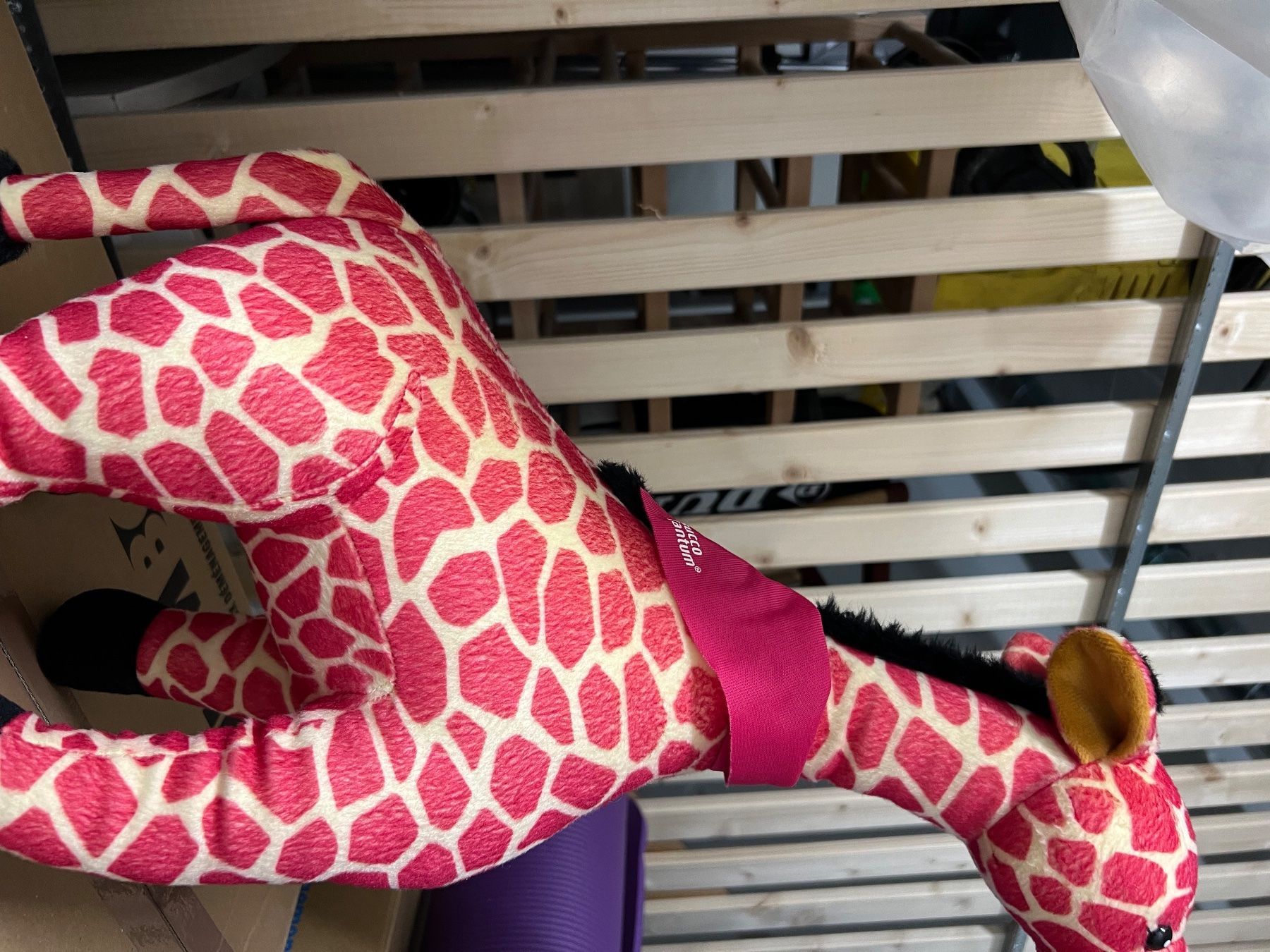 Giocattoli: Rosa Giraffe Plüschtier – Usato da Niederweningen venduto da zw4_s78j 3