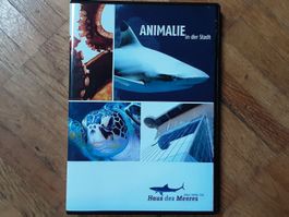 Haus des Meeres - Animalie in der Stadt