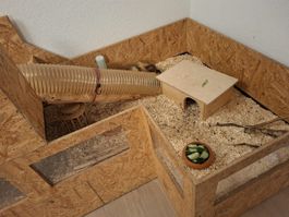 Meerschweinchen Gehege 2 stöckig mit Sichtfenster gebraucht