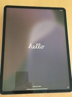 iPad Pro 12.9 Zoll 4. Gen 256 GB 5G/LTE Titanium