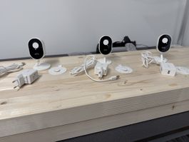 3× Arlo Essential Indoor Kameras zu